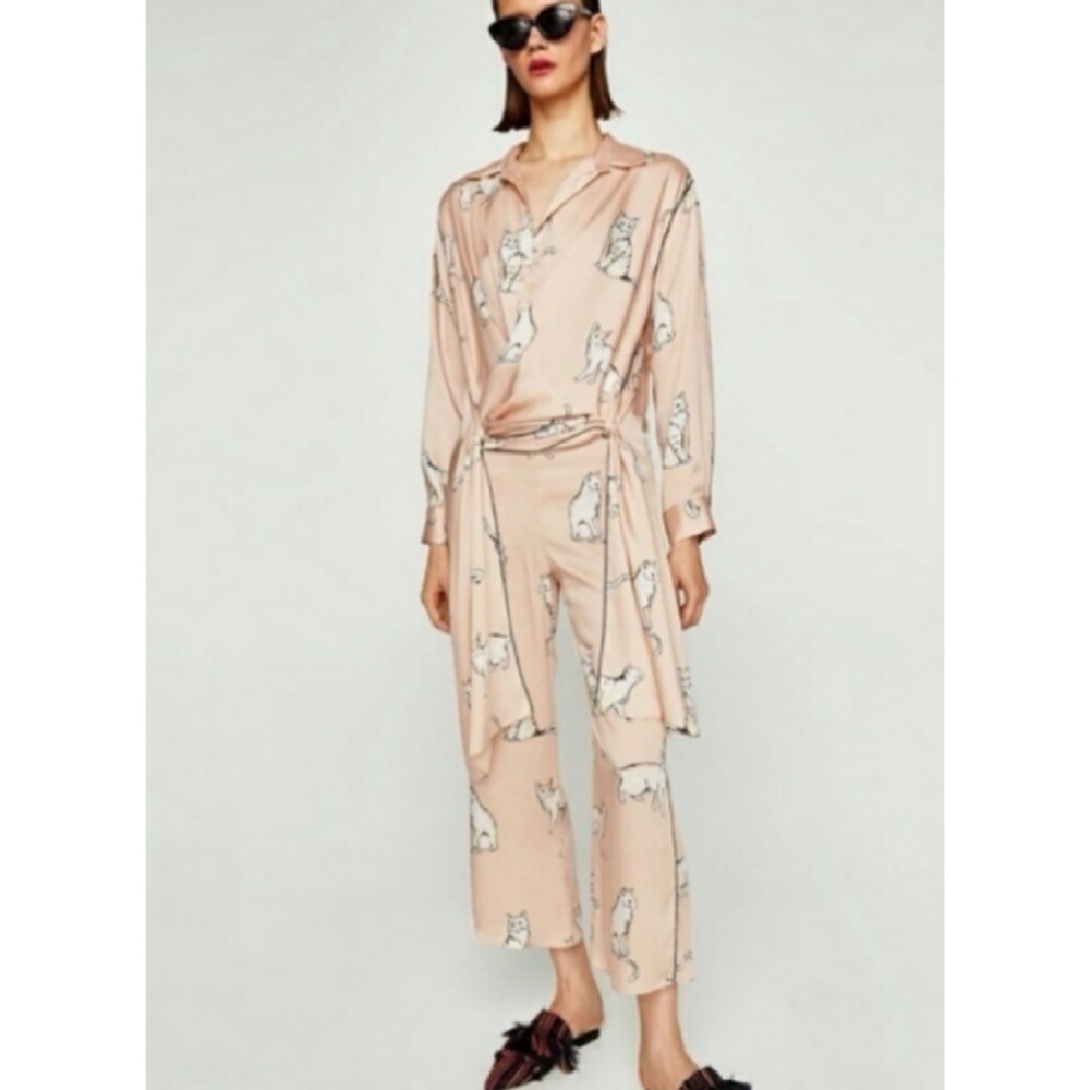 Zara very rare cat print set